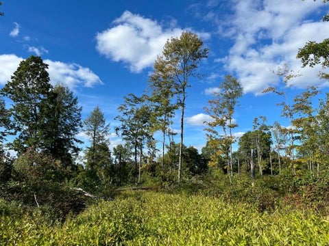 Vacant Land For Sale - TBD Mickle Hill Road<br/> Warren County, Spring Creek, PA 16436