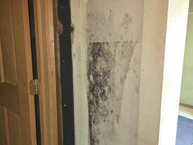 Youngsville, Pennsylvania 16371, United States, 1 Bedroom Bedrooms, ,1 BathroomBathrooms,Residential,Active,155451