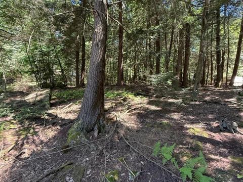 Vacant Land For Sale - Barlett Lane<br/> Warren County, Clarendon, PA 16313