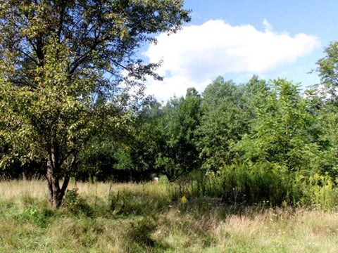 Photo for 2156 HATCH RUN ROAD