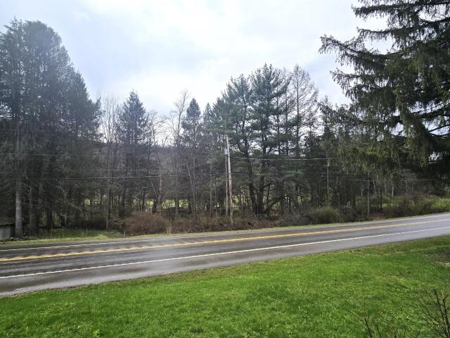 Kane, Pennsylvania 16735, United States, 4 Bedrooms Bedrooms, ,2 BathroomsBathrooms,Residential,Active,113920