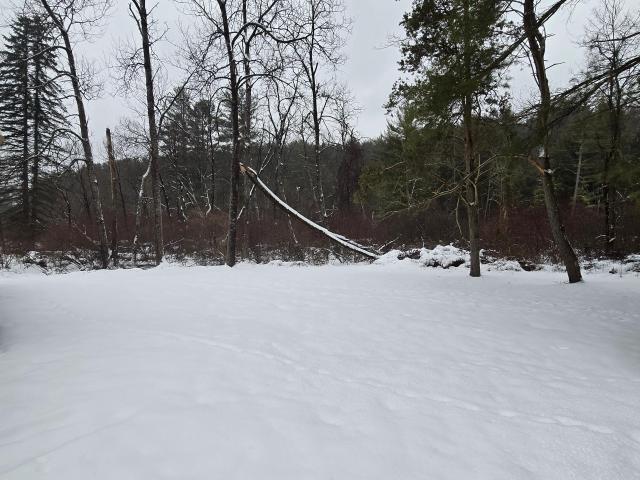 Sheffield, Pennsylvania 16347, United States, 2 Bedrooms Bedrooms, ,1 BathroomBathrooms,Residential,Active,13509