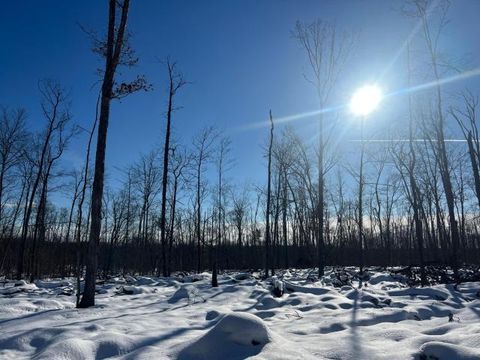 Vacant Land For Sale - - Coalbed Road<br/> Warren County, Russell, PA 16345