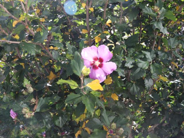 North Warren, Pennsylvania 16365, United States, 5 Bedrooms Bedrooms, ,3 BathroomsBathrooms,Residential,Active,212271