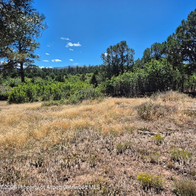 1620 WILDCAT CANYON RD, MONTROSE, CO 81403 - Image 0e3250f0e68ca4e2a8c0564eccb976db/2372015125