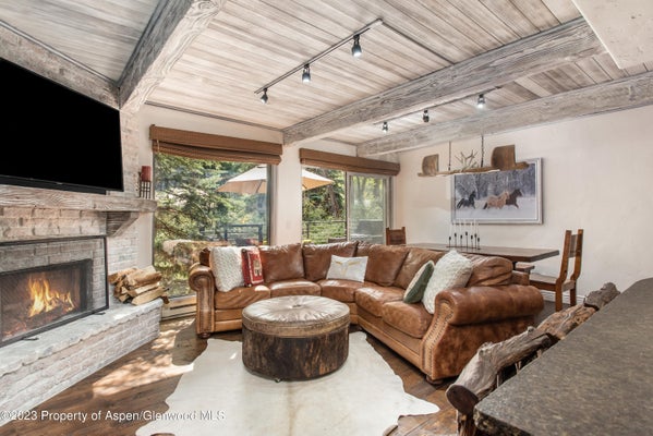 1039 E COOPER AVE APT 9, ASPEN, CO 81611 - Image 0e8a856ac0e2369b1d4aeb7225103f46/871387512