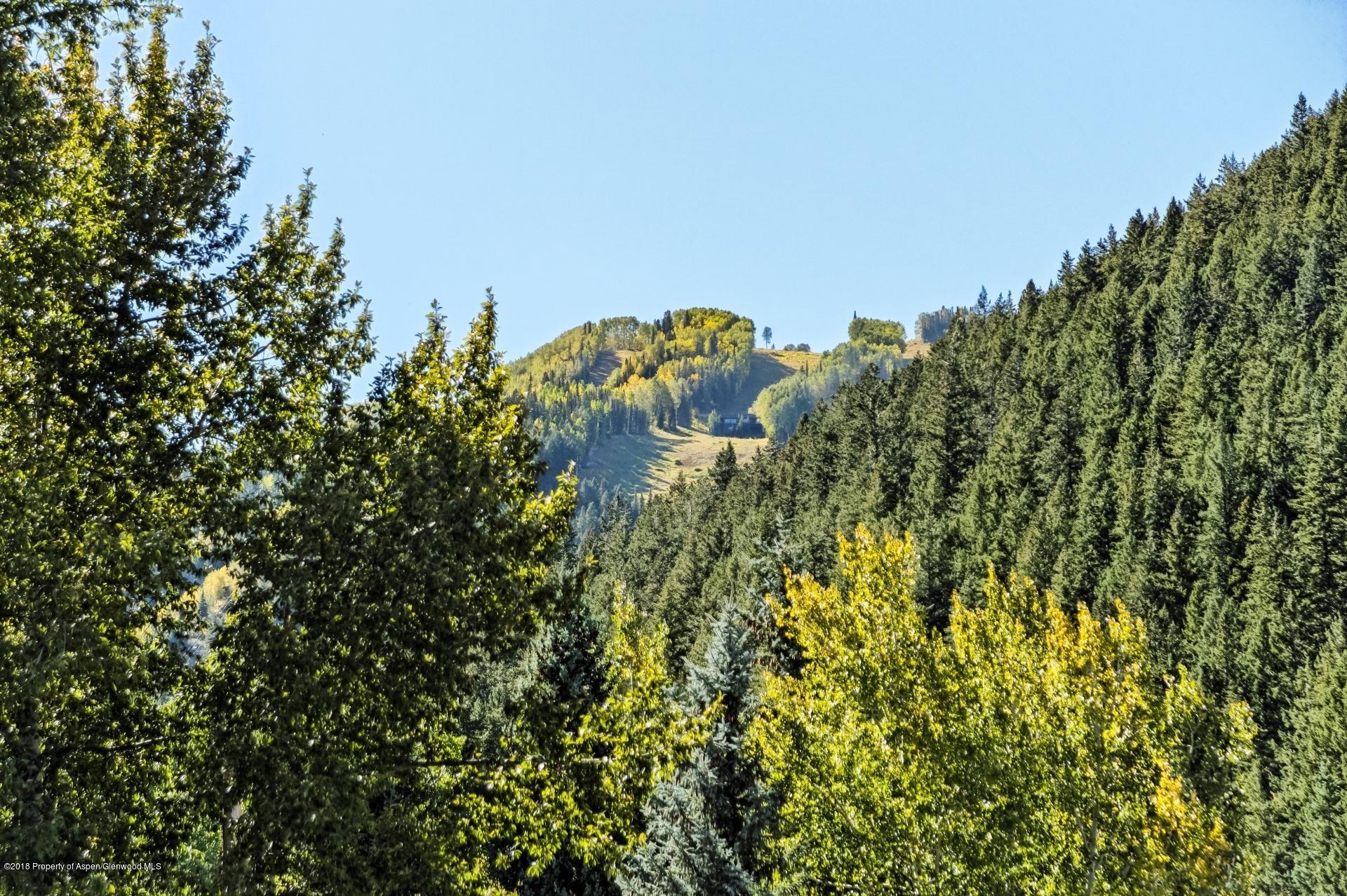 Aspen, Colorado 81611, United States, 1 Bedroom Bedrooms, ,1 BathroomBathrooms,Residential,Active,75562