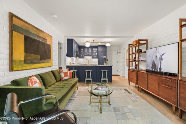 332 VINE ST, ASPEN, CO 81611 - Image 235d2b7d698f20e733cfb8cb3b26f5cd/1038563549