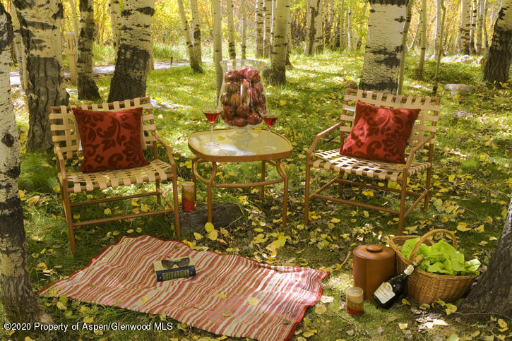 Aspen, Colorado 81611, United States, 3 Bedrooms Bedrooms, ,4 BathroomsBathrooms,Residential,Active,75558