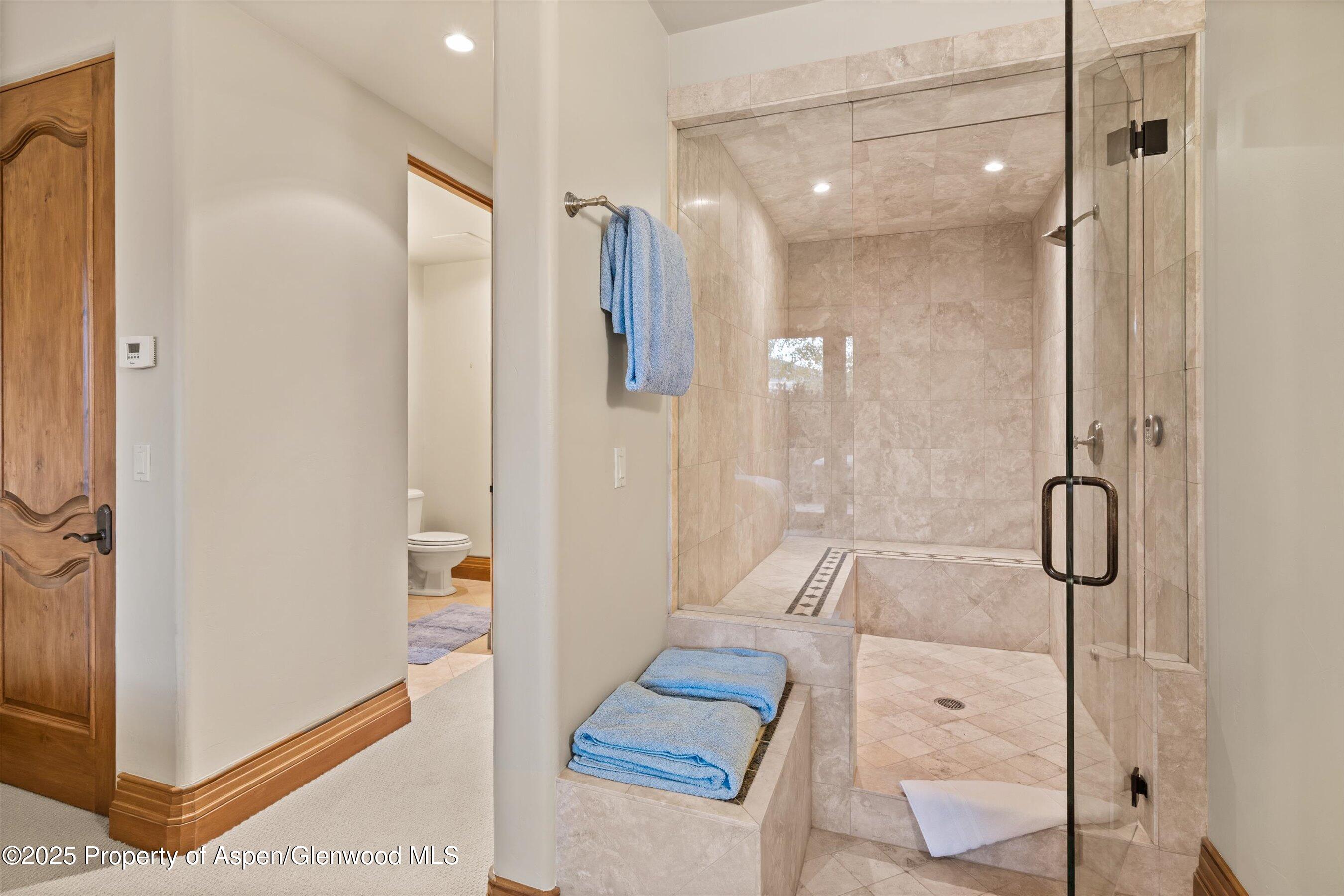 Aspen, Colorado 81611, United States, 8 Bedrooms Bedrooms, ,9 BathroomsBathrooms,Residential,Active,251559