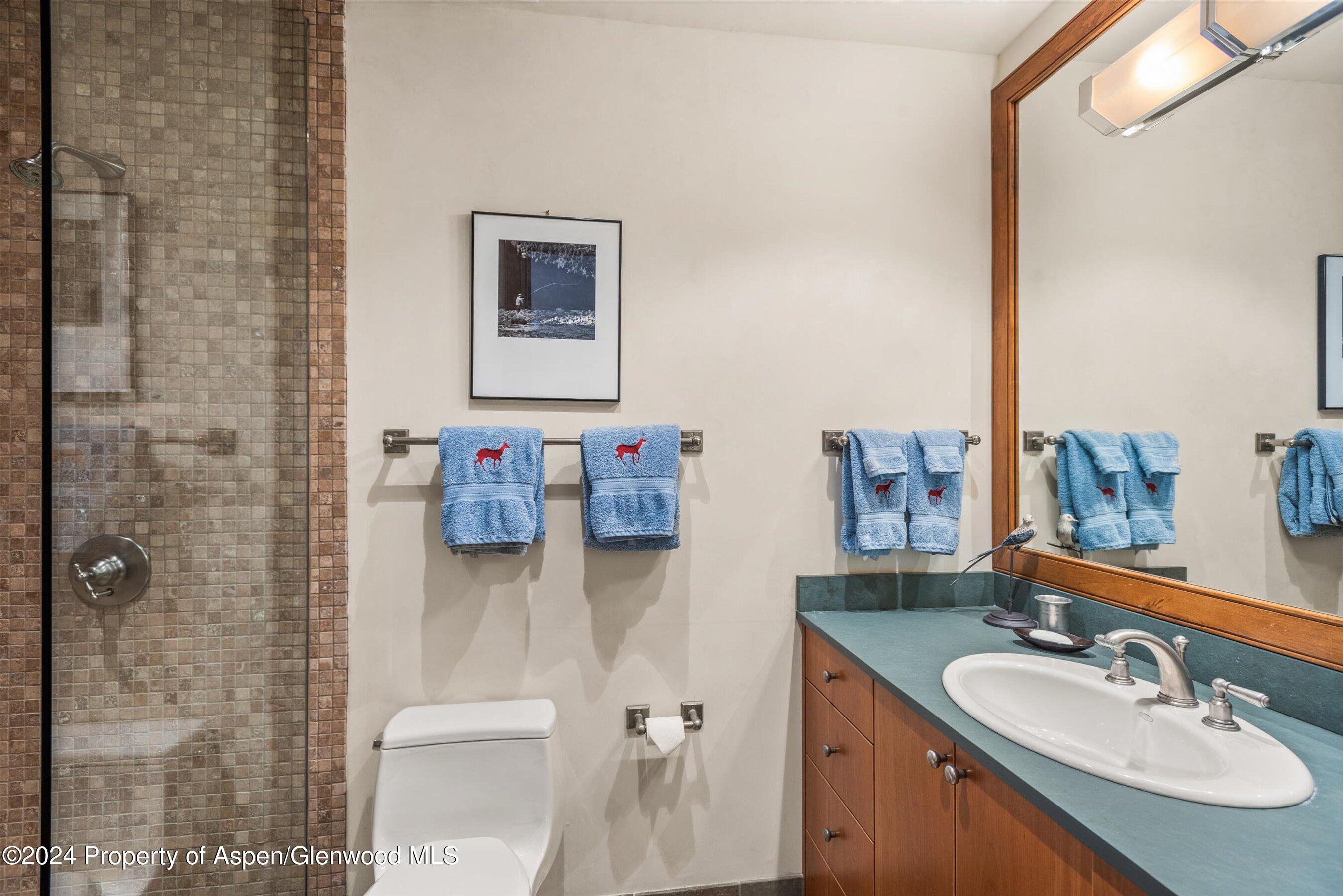 Aspen, Colorado 81611, United States, 5 Bedrooms Bedrooms, ,7 BathroomsBathrooms,Residential,Active,37016