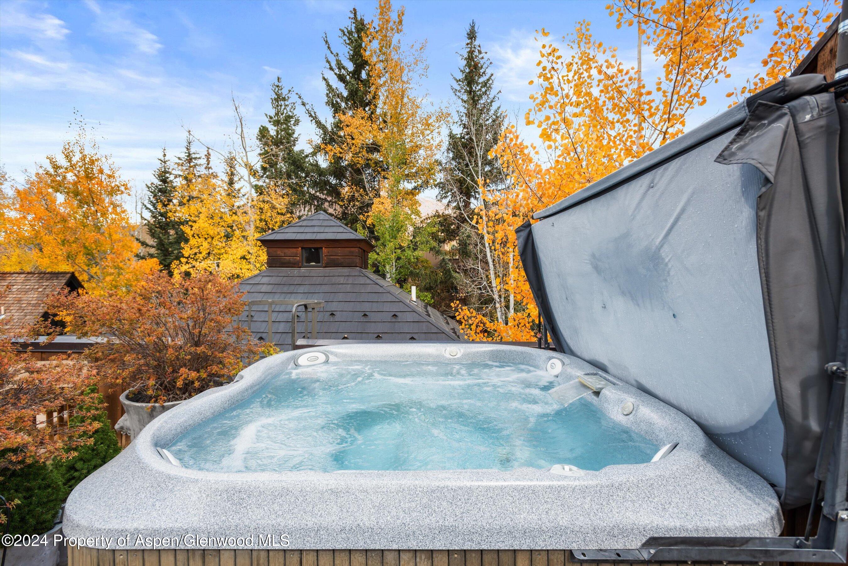 Aspen, Colorado 81611, United States, 5 Bedrooms Bedrooms, ,7 BathroomsBathrooms,Residential,Active,37016