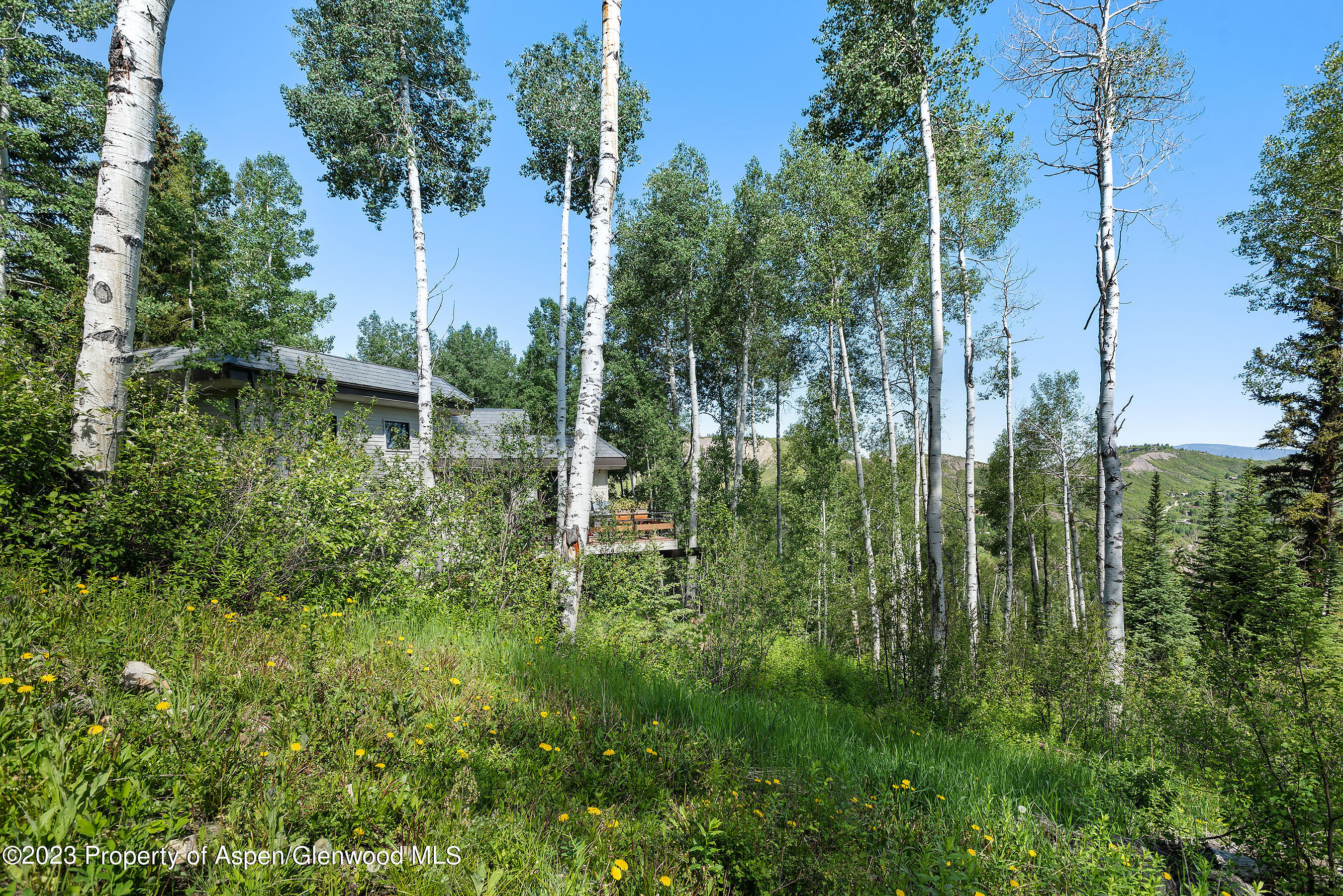 Snowmass Village, Colorado 81615, United States, 4 Bedrooms Bedrooms, ,5 BathroomsBathrooms,Residential,Active,72444