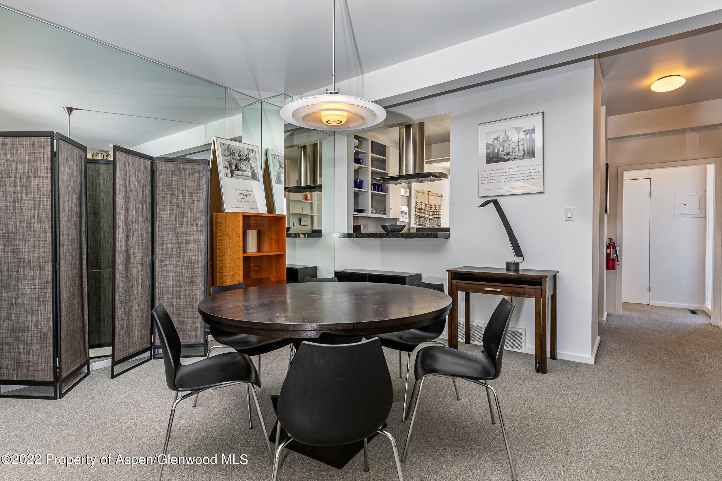 Aspen, Colorado 81611, United States, ,1 BathroomBathrooms,Residential,Active,74220