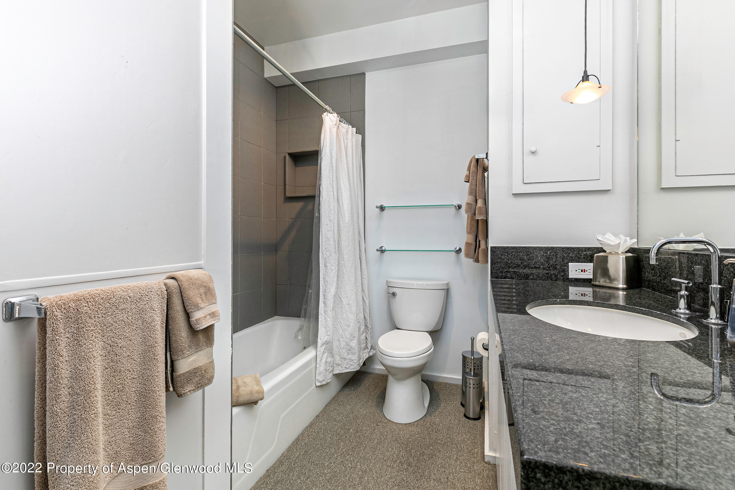 Aspen, Colorado 81611, United States, ,1 BathroomBathrooms,Residential,Active,74220