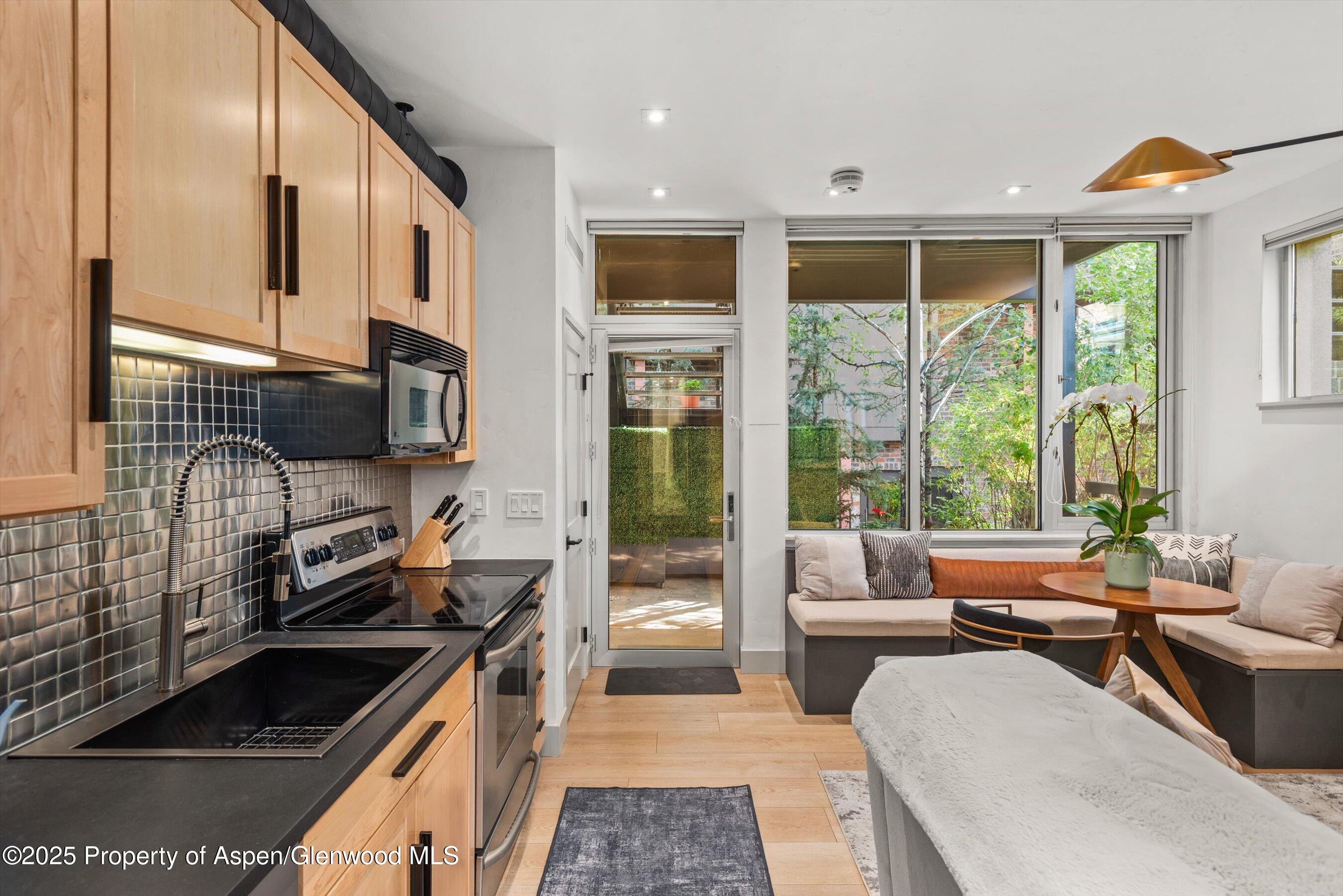 Aspen, Colorado 81611, United States, 1 Bedroom Bedrooms, ,1 BathroomBathrooms,Residential,Active,256212