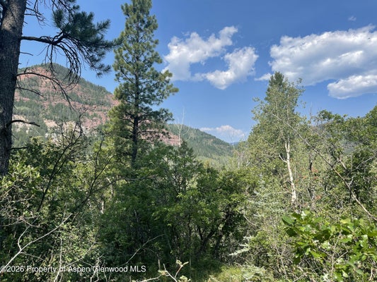 315 FIREHOUSE RD, CARBONDALE, CO 81623 - Image e28b5fc37eb1f742e1cd9dfeeccd773c/2744010119