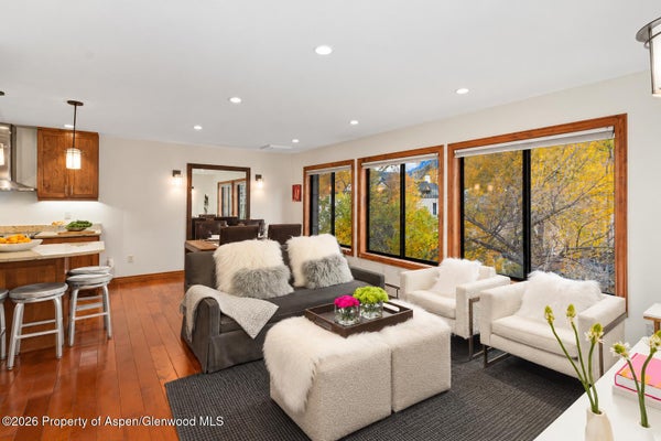725 E MAIN ST # 309, ASPEN, CO 81611 - Image ffcddca1acd5f7fd277fab9a1d63cc0d/3975654033