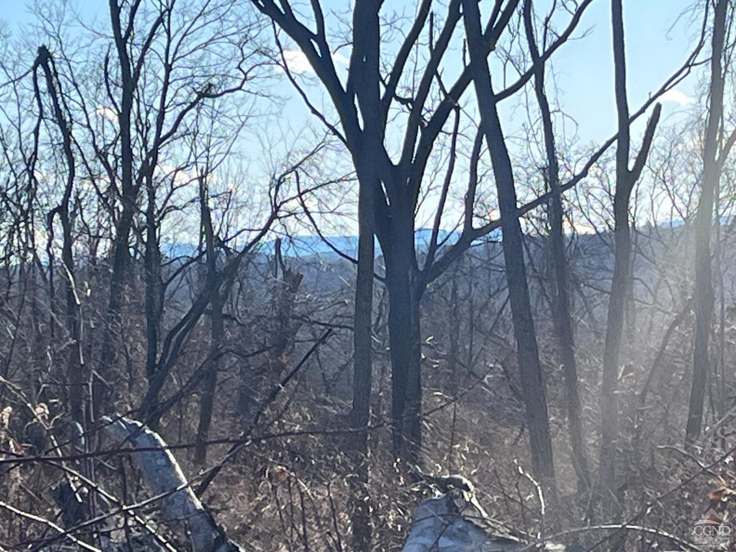 398 River Road 9j Rd, Schodack, New York image 10