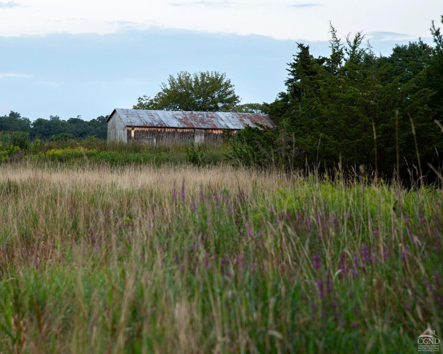 Rod And Gun Road, Hudson, New York image 13