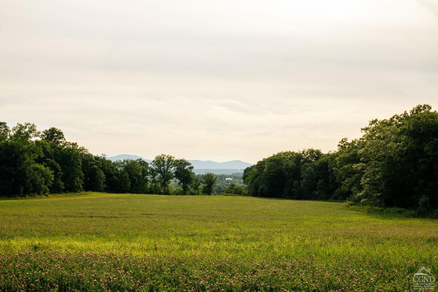 Rod And Gun Road, Hudson, New York image 15