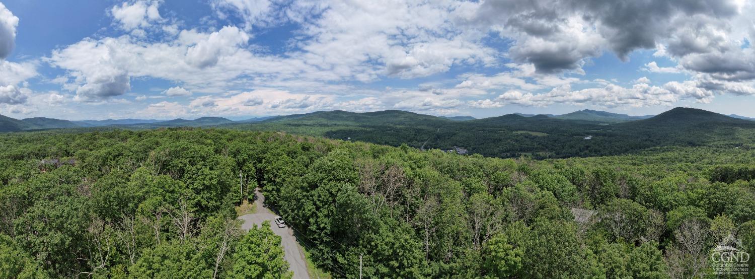 49 Eagles Nest Road, Jewett, New York image 8