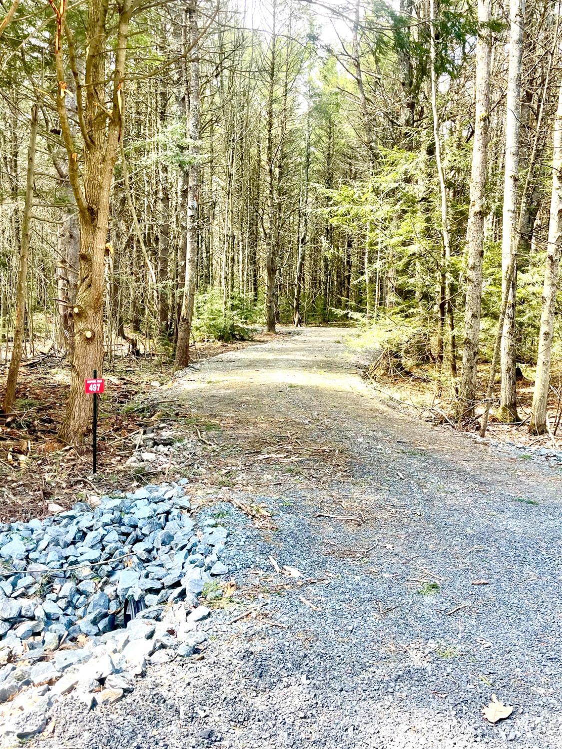 497 Campbell Drive #LOT 4, Ashland, New York image 6