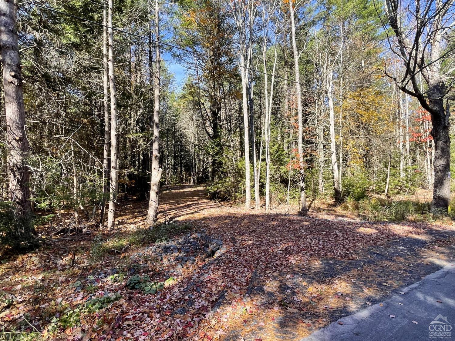 497 Campbell Drive #LOT 4, Ashland, New York image 2