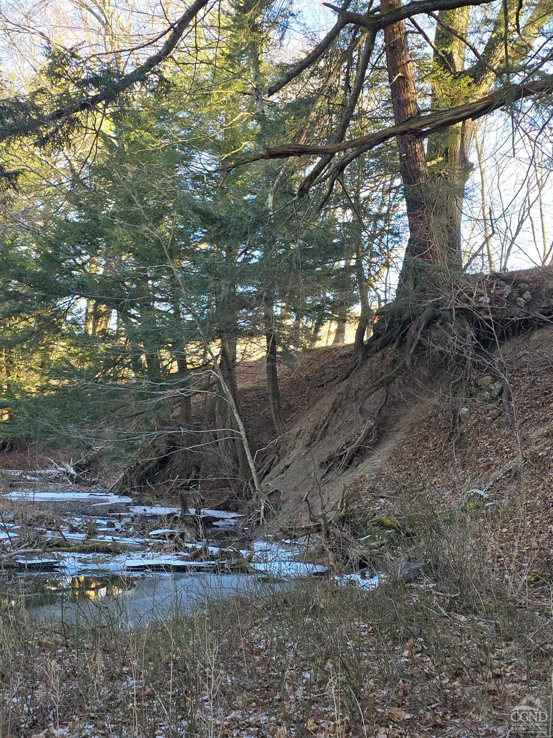 Copake Lake Rd Extension, Craryville, New York image 33