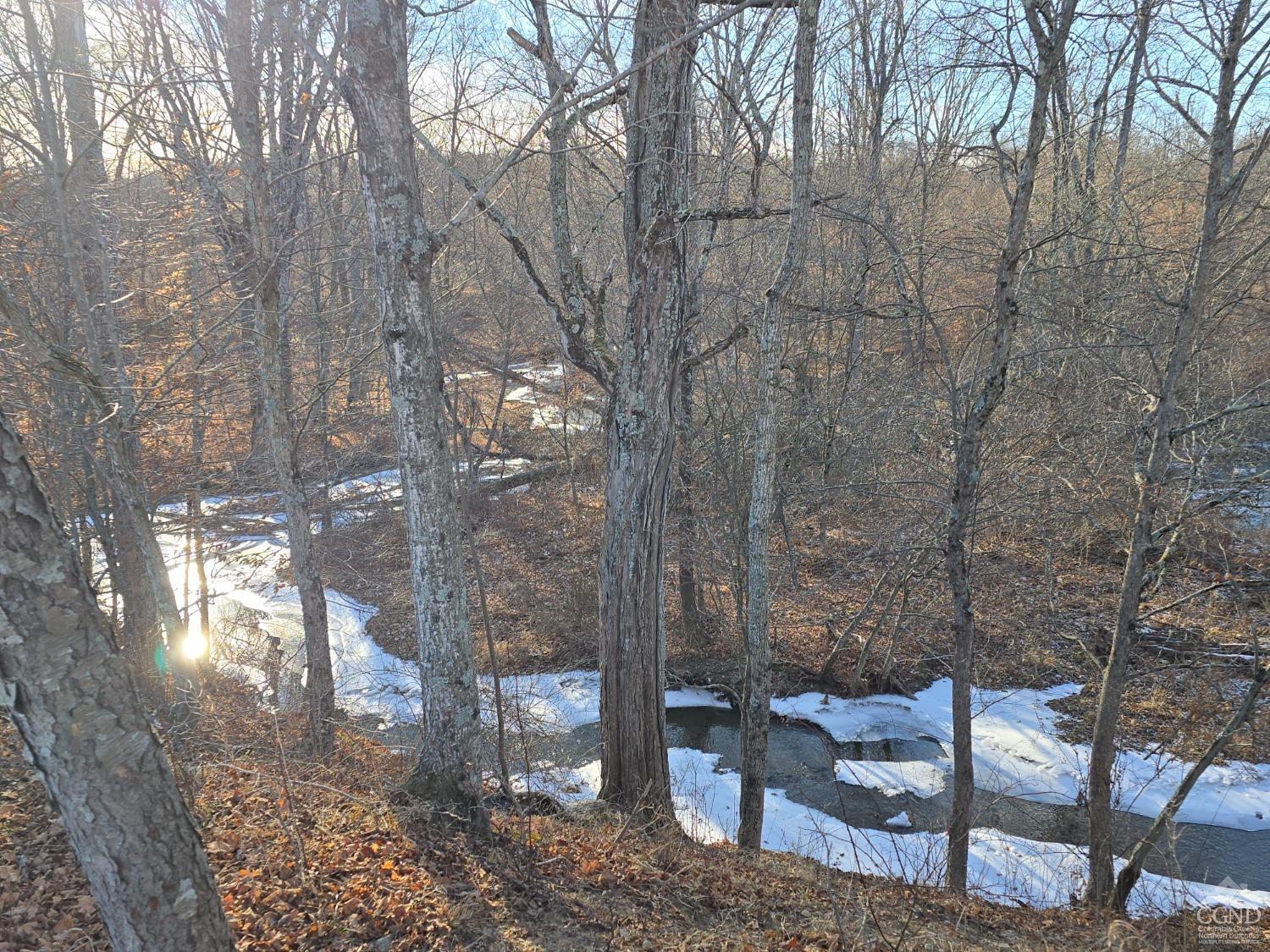 Copake Lake Rd Extension, Craryville, New York image 28