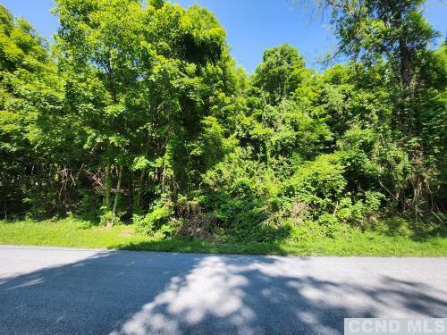 Brickyard Road, New Lebanon, New York image 3