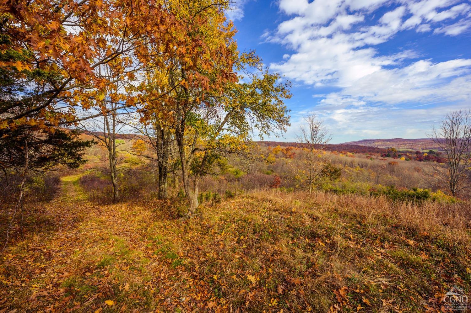 4 Darling Rd, Hillsdale, New York image 9