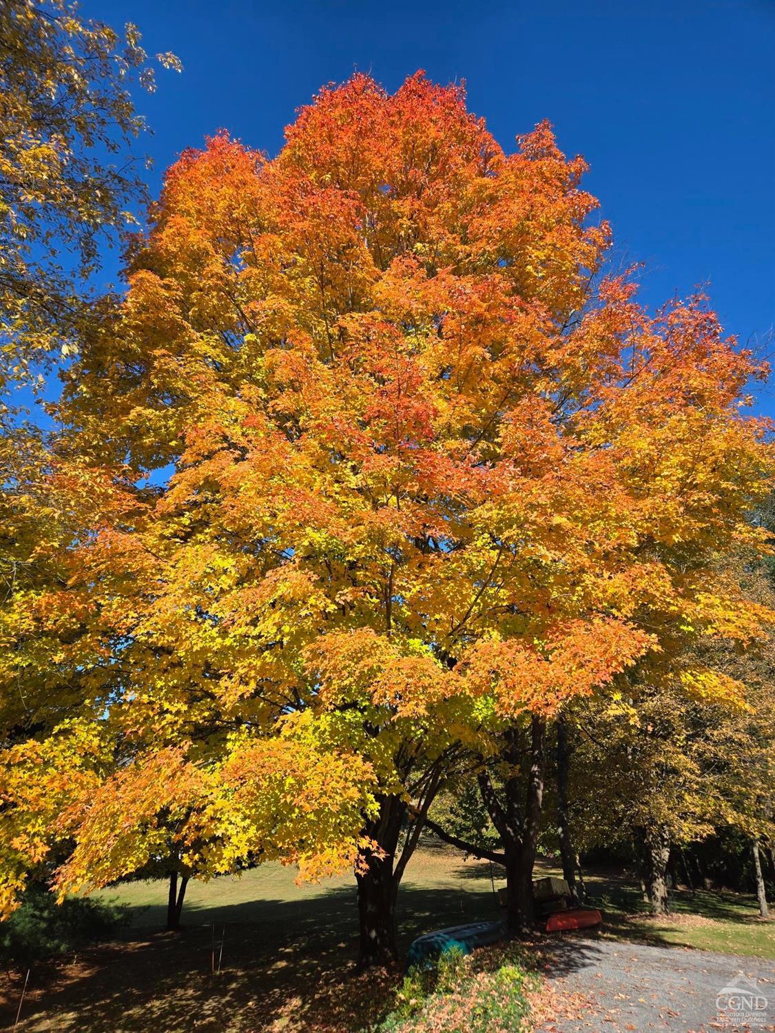 126 County Route 26a, Stuyvesant, New York image 33