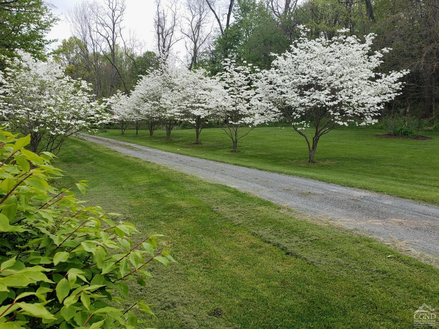 126 County Route 26a, Stuyvesant, New York image 38