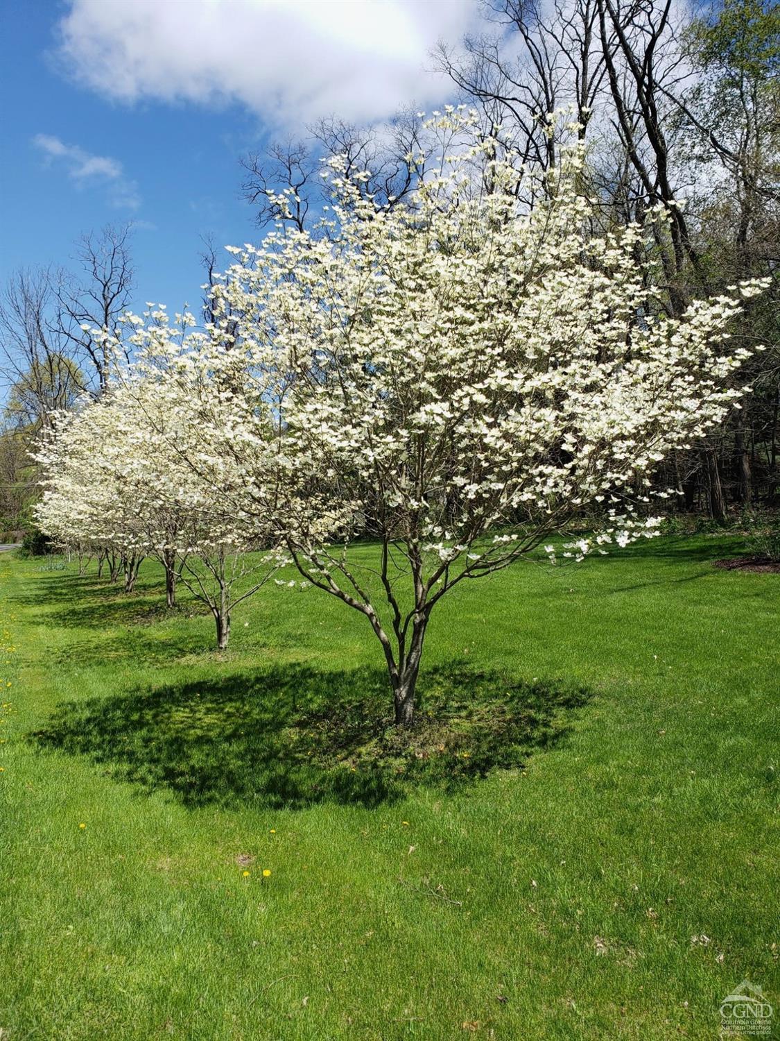 126 County Route 26a, Stuyvesant, New York image 39