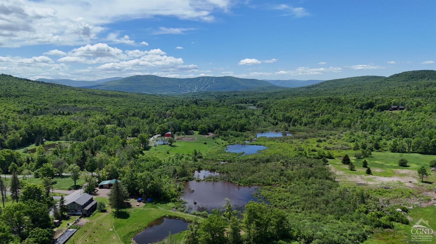 Mitchell Hollow Road, Windham, New York image 4