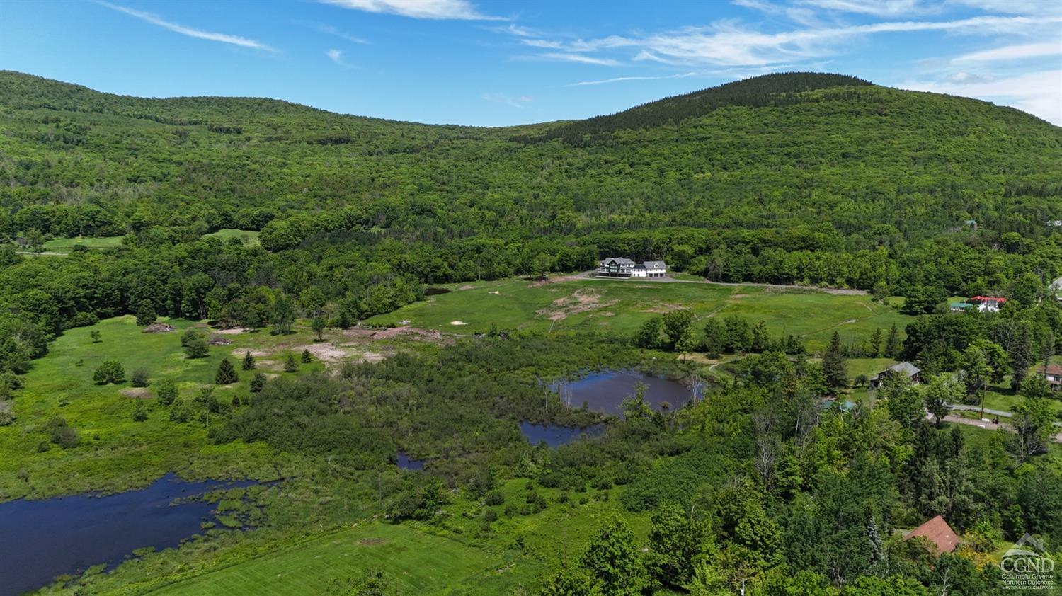 Mitchell Hollow Road, Windham, New York image 5