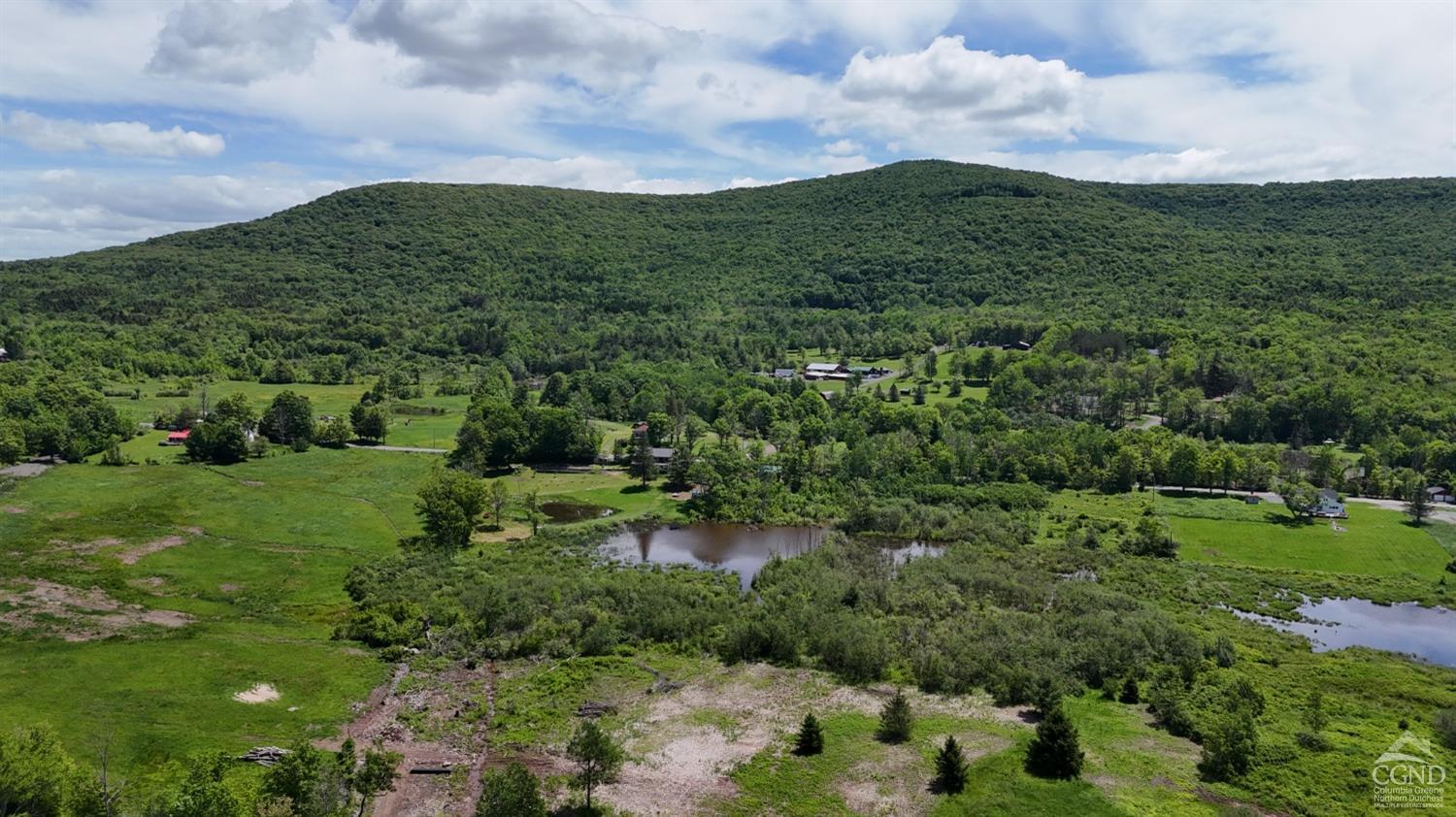 Mitchell Hollow Road, Windham, New York image 1