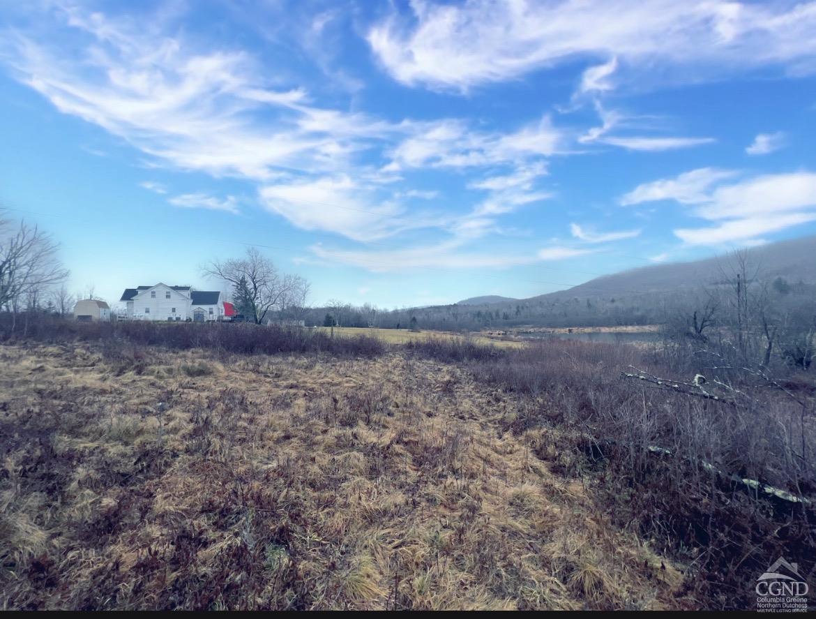 Mitchell Hollow Road, Windham, New York image 8