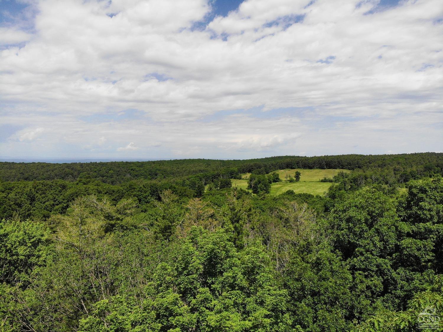 Reed Road, Austerlitz, New York image 1