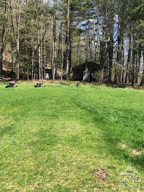 510 Mill Valley Road, Middleburgh, New York image 39