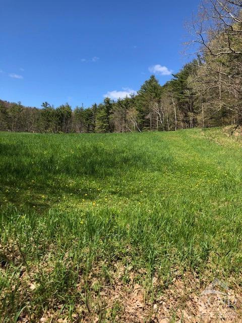 510 Mill Valley Road, Middleburgh, New York image 30