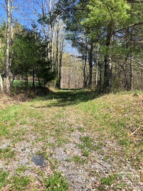 510 Mill Valley Road, Middleburgh, New York image 24