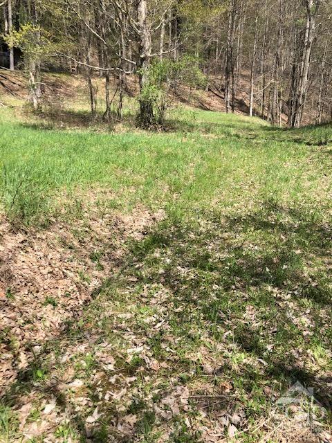 510 Mill Valley Road, Middleburgh, New York image 29