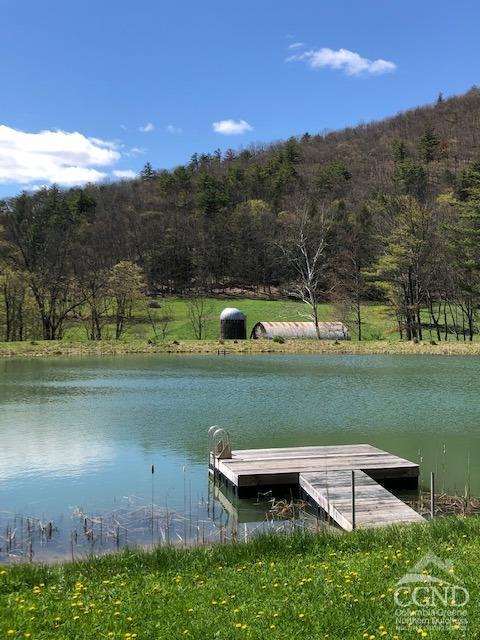 510 Mill Valley Road, Middleburgh, New York image 37