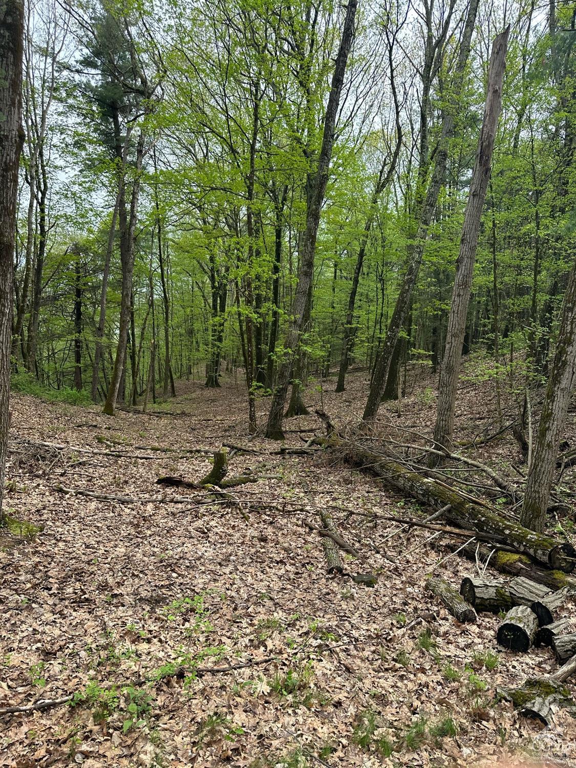 2227 County Route 21, Kinderhook, New York image 14