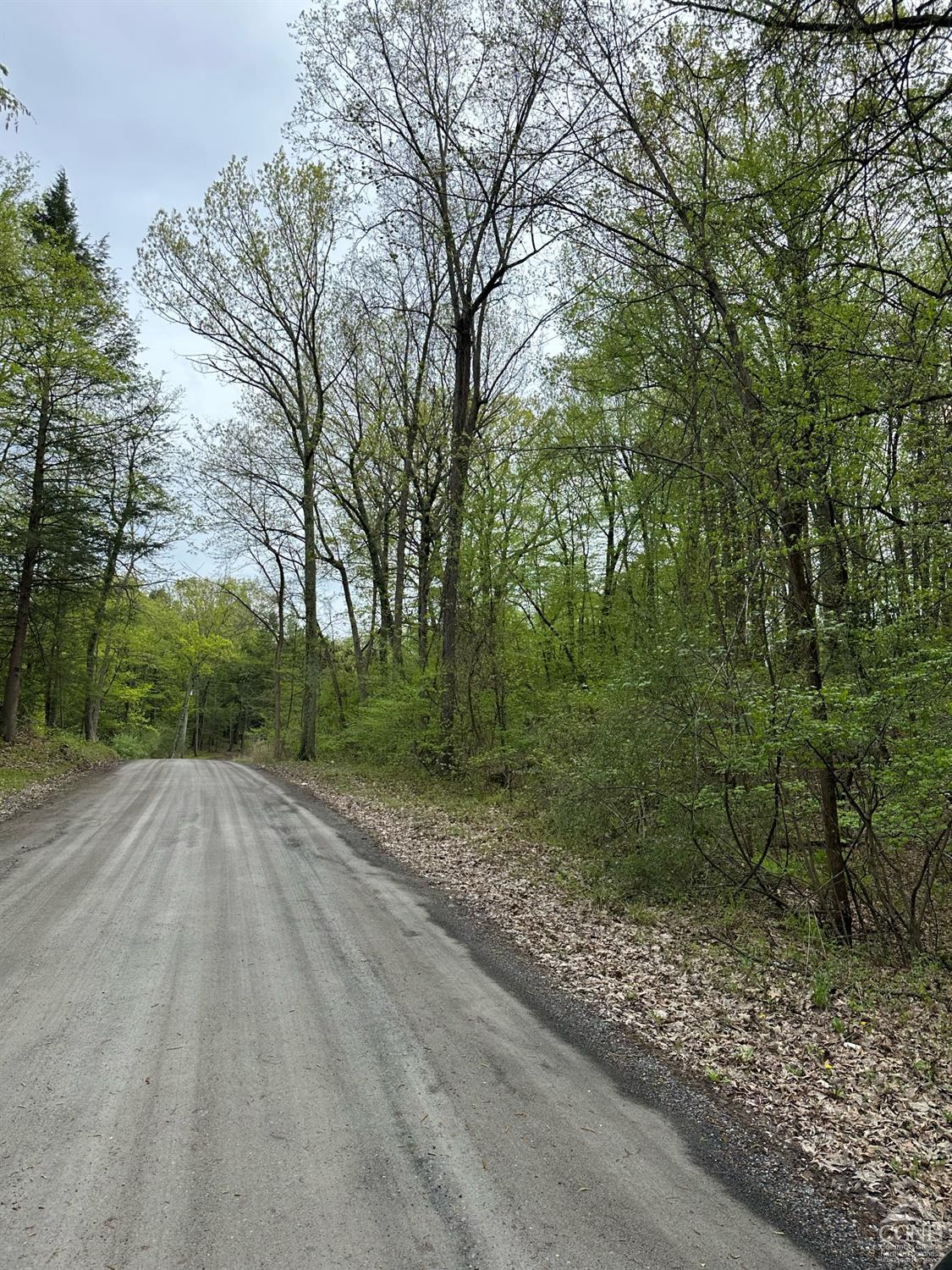 2227 County Route 21, Kinderhook, New York image 2