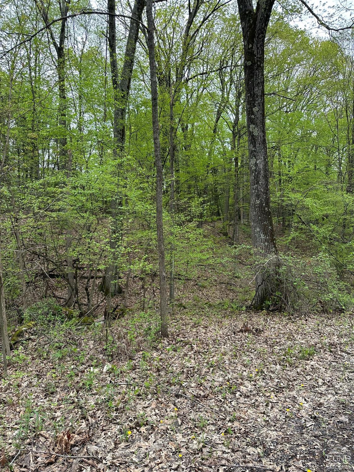2227 County Route 21, Kinderhook, New York image 18