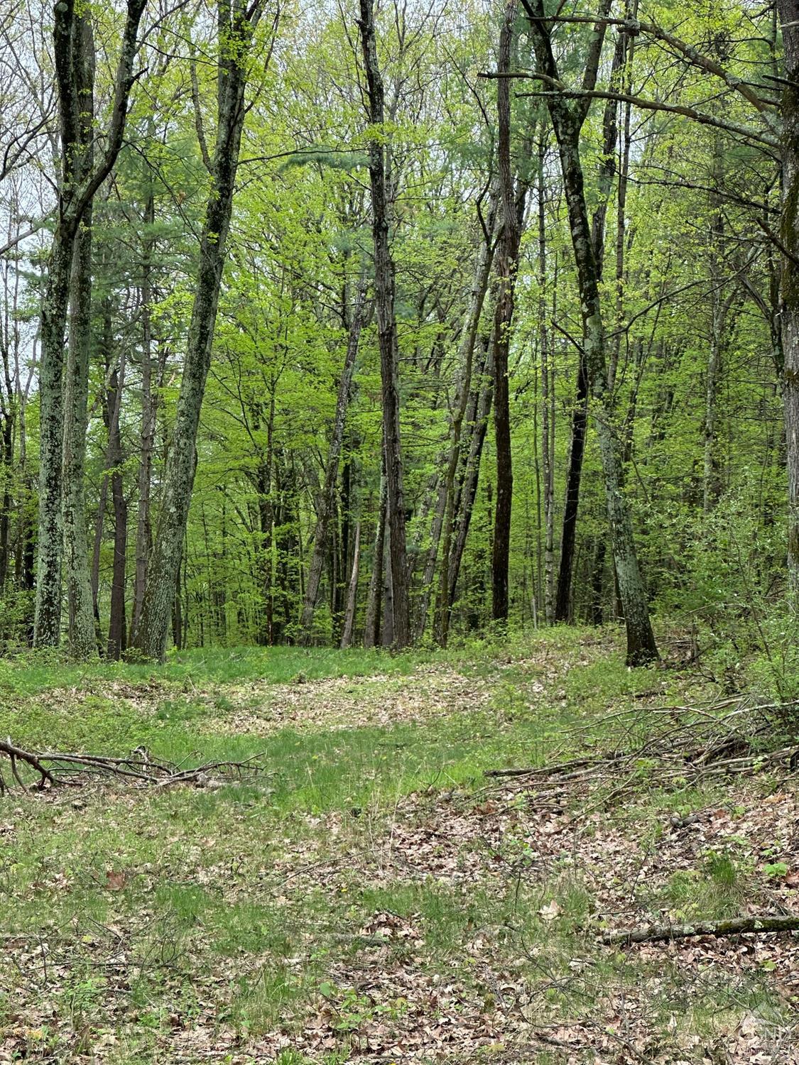 2227 County Route 21, Kinderhook, New York image 5