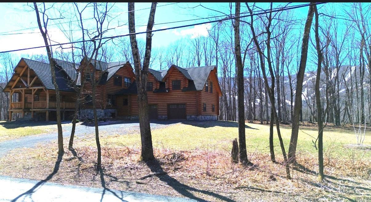 102 Thunderbird Terrace Ter, Windham, New York image 2